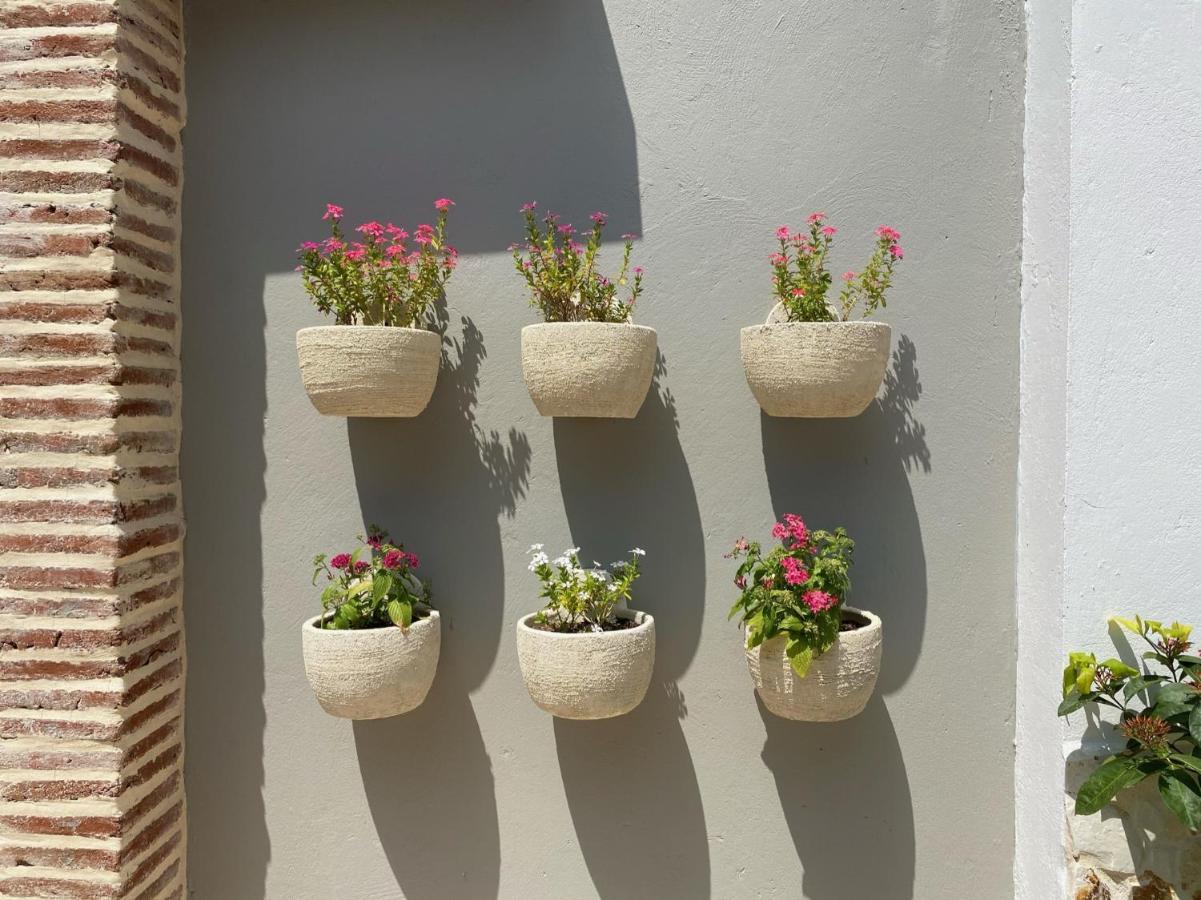 Casa Bixa Hotel Boutique - Mayores De 12 Anos - (Adults Only) Santa Fe de Antioquia Εξωτερικό φωτογραφία
